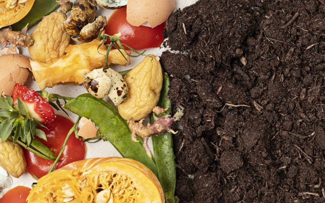 The Role of Composting in Lawn and Garden Health