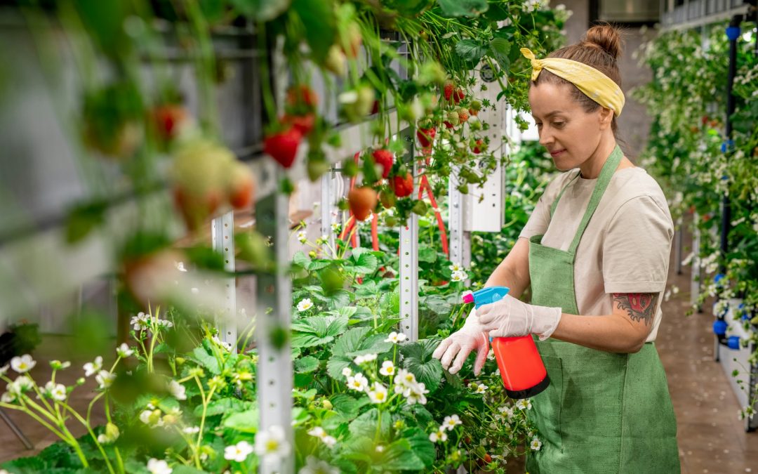 The Basics of Vertical Gardening for Small Spaces